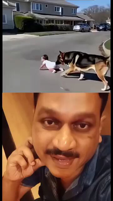 ആ_നായ_കുഞ്ഞിനെ_എങ്ങനെ_കെയർ_ചെയ്യുന്നതെന്ന്_നോക്കു#video_#share_#duet_#khalid_#vairal(360p)