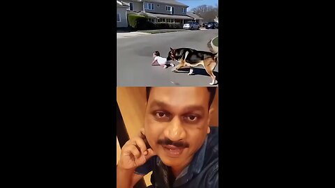 ആ_നായ_കുഞ്ഞിനെ_എങ്ങനെ_കെയർ_ചെയ്യുന്നതെന്ന്_നോക്കു#video_#share_#duet_#khalid_#vairal(360p)