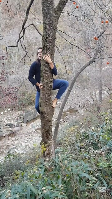 Climbing Persimmon Tree in Korea P1 감나무를 올라간다. #KOREA #자연치유 #NATURALHEALING #NATURALHYGIENE #자연위생