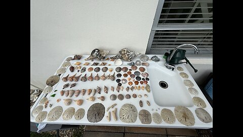 Beach Finds 11/6/2025 | 4K