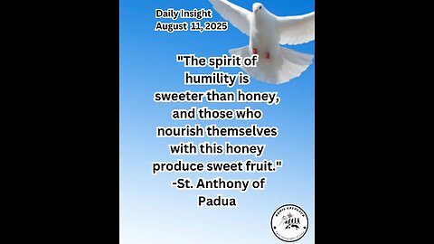 Daily Insight August 11, 2025 #faith #bible #Insight