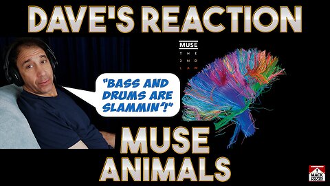Dave's Reaction: Muse — Animals