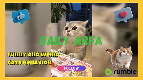 🐈 HILARIOUS! Funny Cat with absurd Behavior Part 1 | 😂 #cat #funnycat #viralvideos