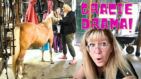 GRACIE Problems And A HUGE Plot TWIST!