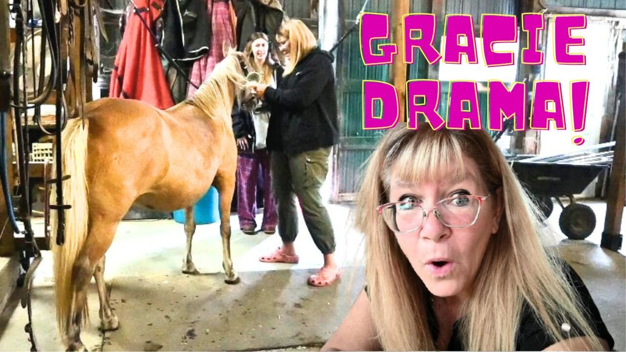 GRACIE Problems And A HUGE Plot TWIST!