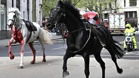 "Unlocking Symbolism: The Significance of London's Free-Roaming Bloody Horses"