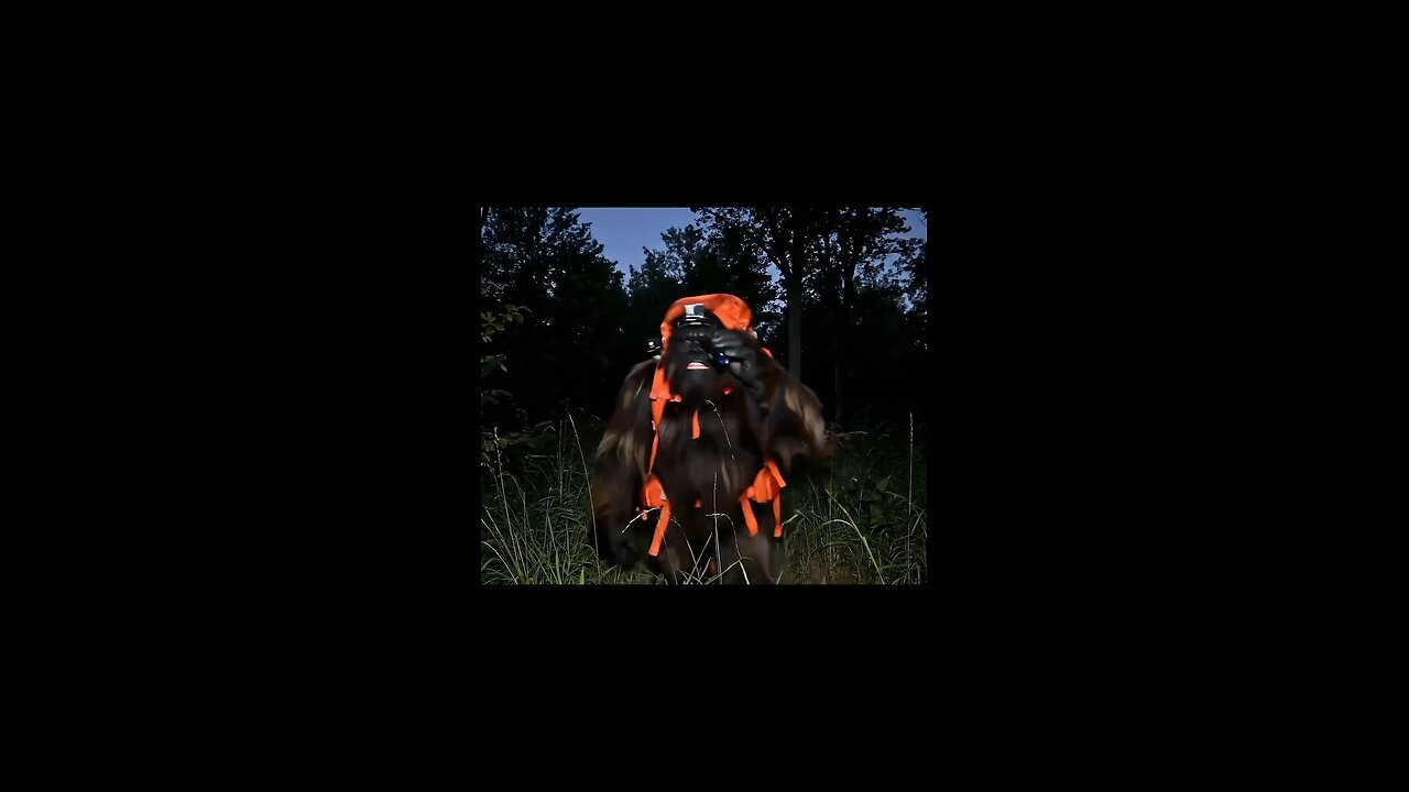 vincular night vision