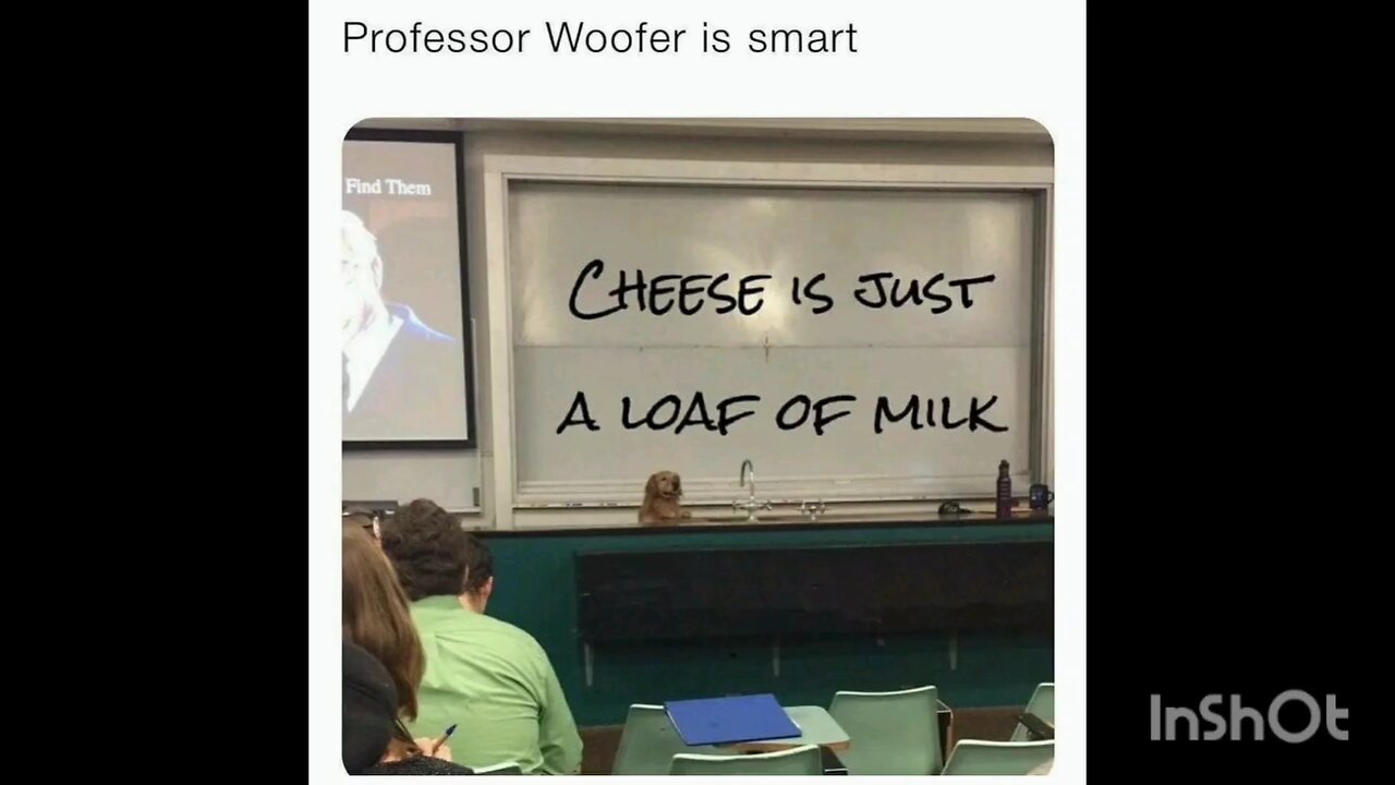 Professor Woofer is smart