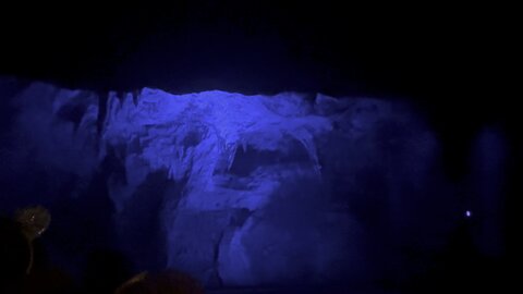 Pirates of the Caribbean Ride, Disney’s Magic Kingdom 11042025