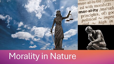 #004 Morality in Nature