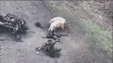 Война в Украине часть 420