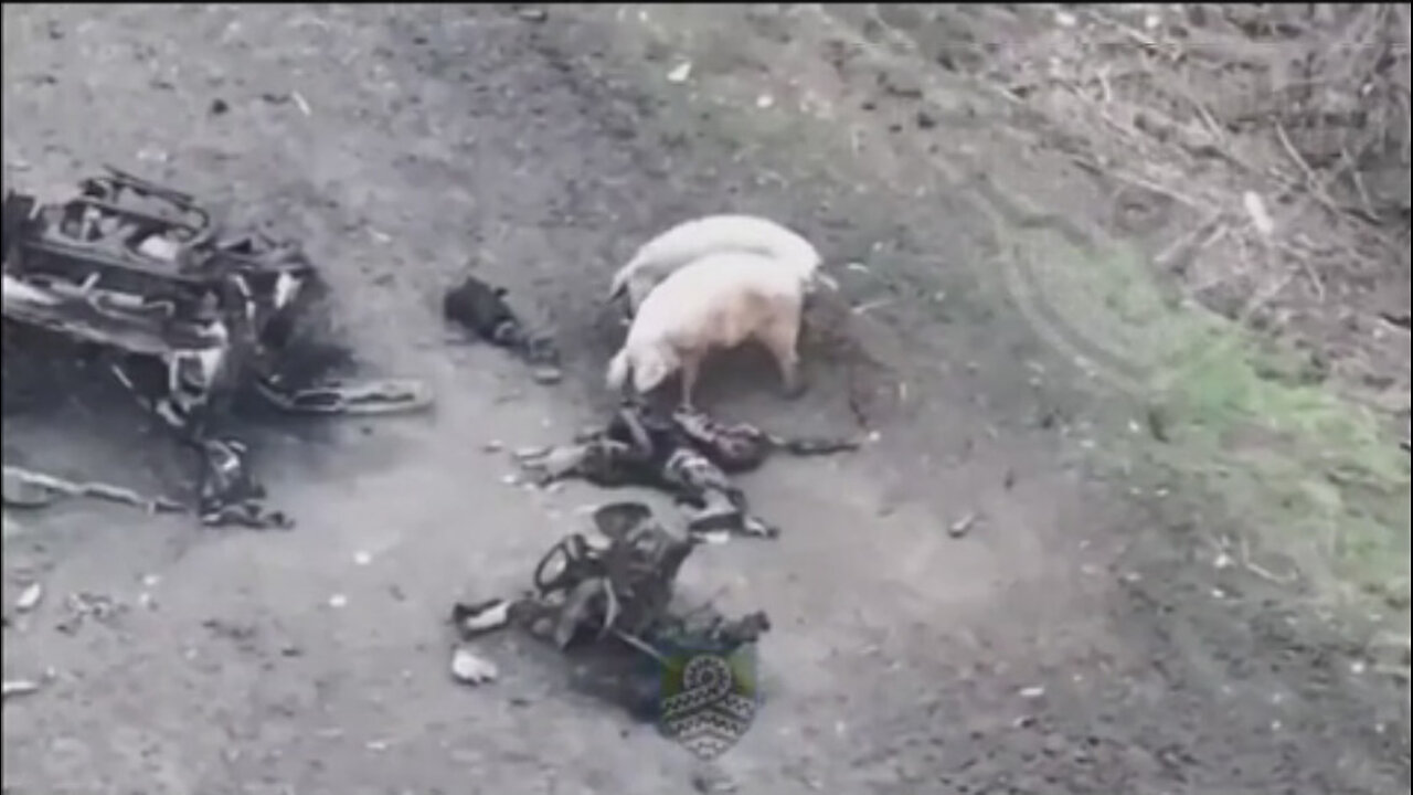 Война в Украине часть 420