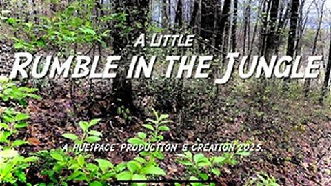 A Little Rumble in the Jungle