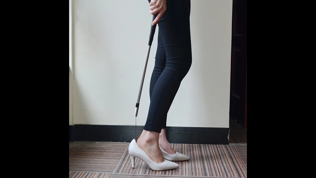 Durable Stretchable Stainless Steel Shoe Horn, with Large Comfortable Hook Grip