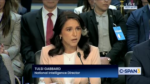 Gabbard, Ratcliffe Say There Was No Classified Info In Signal Messages