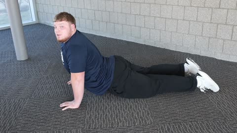 Cobra Stretch