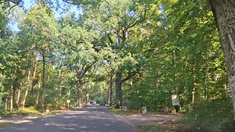 The Grunewald Forest in Berlin, Germany Part 2