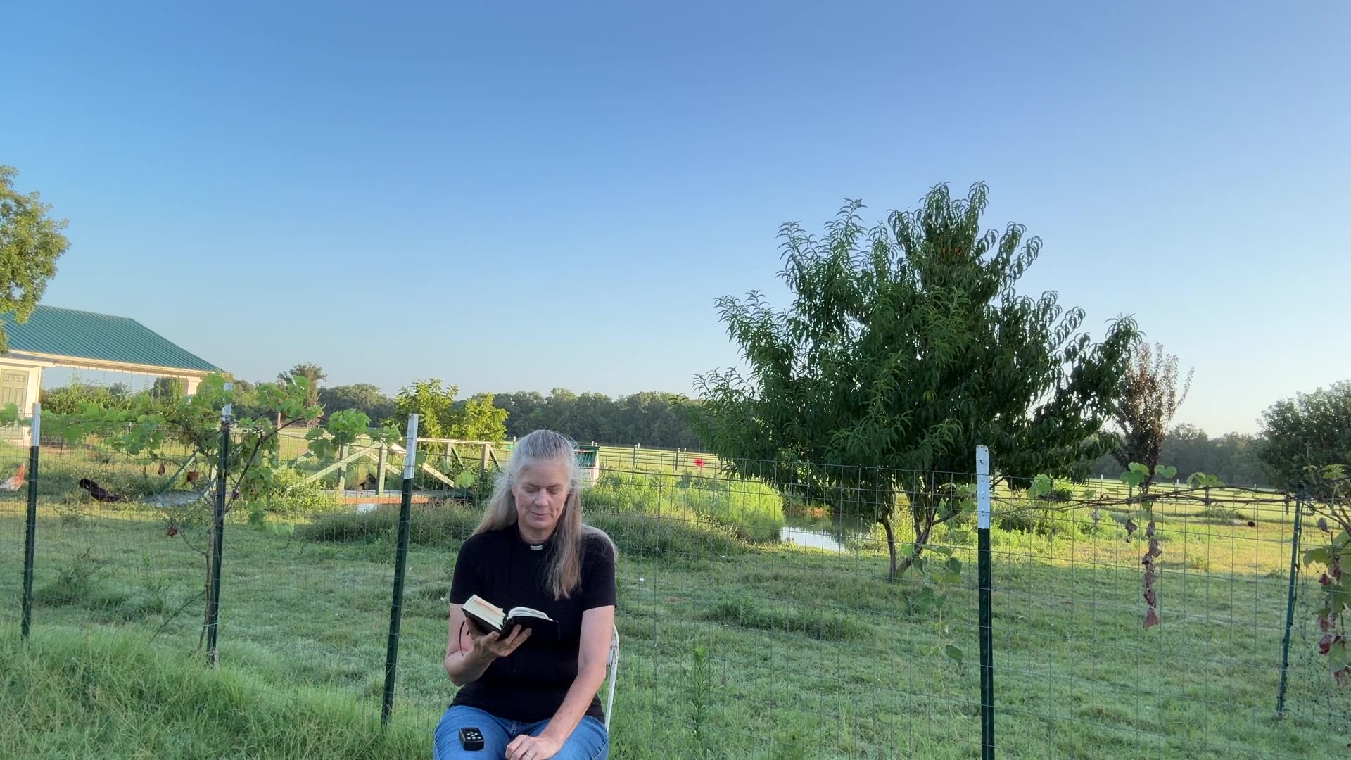 Morning Prayer, Daily Office