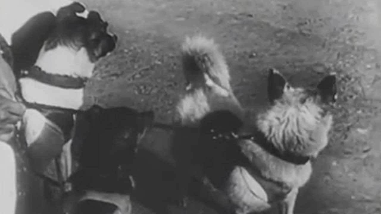 LAIKA first in space