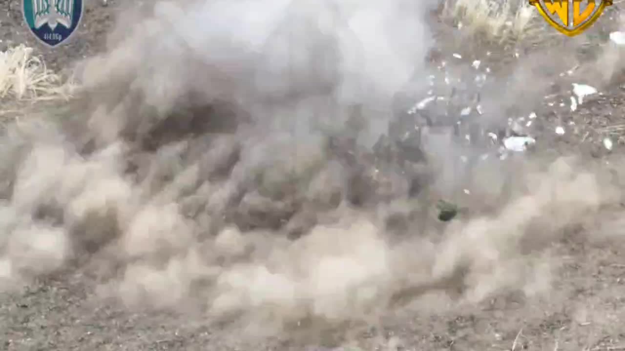 I'm Pretty Sure He's Just Resting