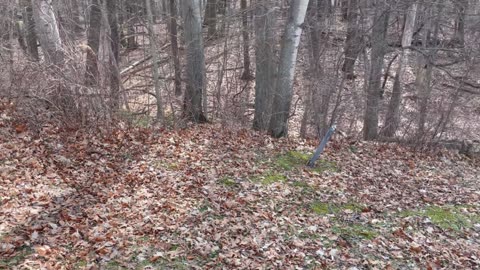 Old Fort Cemetery