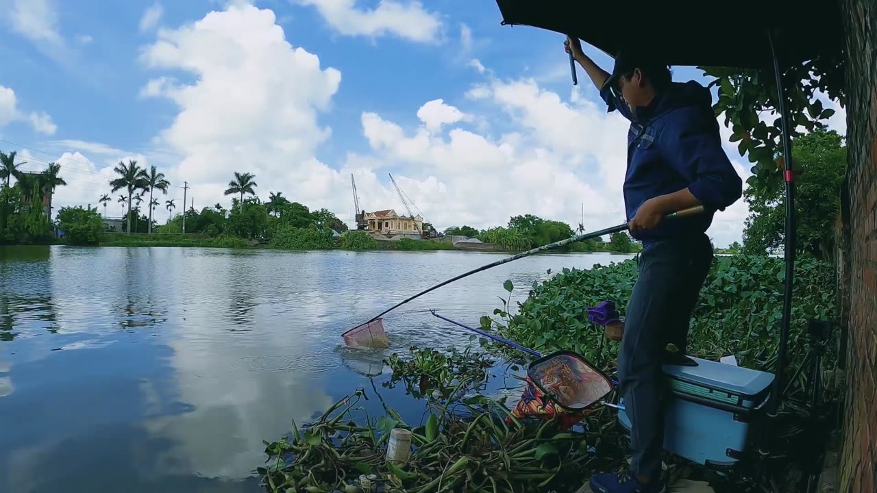 Bass Buzz The Excitement of the Chase