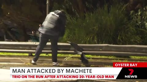 Sydney man attacked with machete - 7NEWS Australia