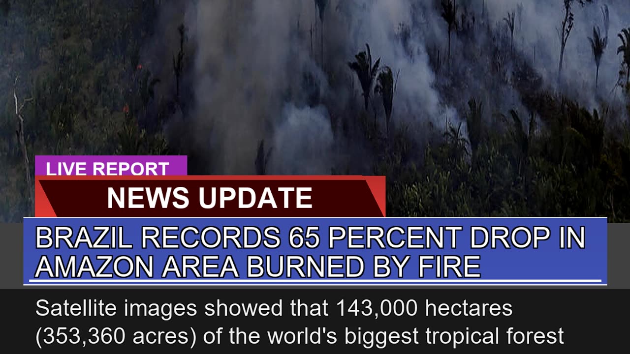 Brazil Records Percent Drop in Amazon Area Burn