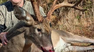 Big Virginia 8 Point Gets Smoked!
