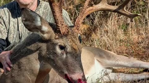 Big Virginia 8 Point Gets Smoked!