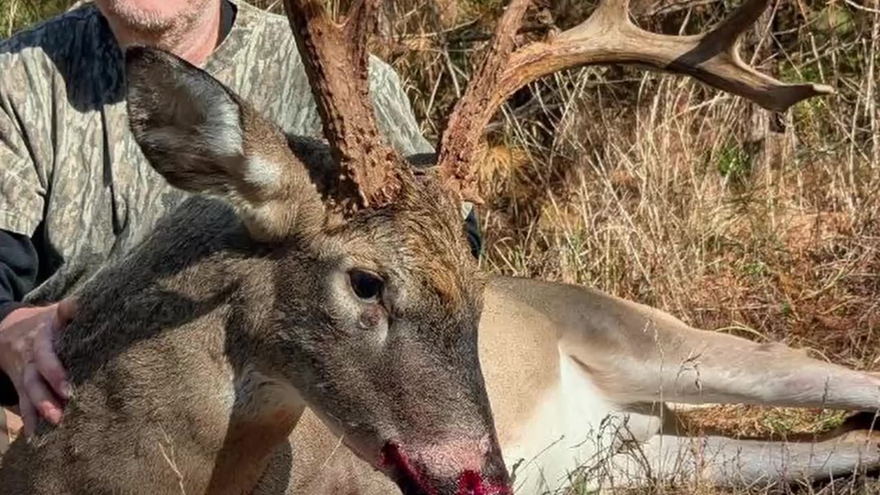 Big Virginia 8 Point Gets Smoked!