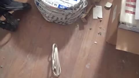 sanding on passadenna,, thesheashow.com