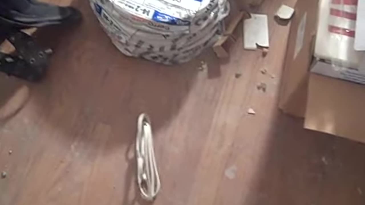 sanding on passadenna,, thesheashow.com