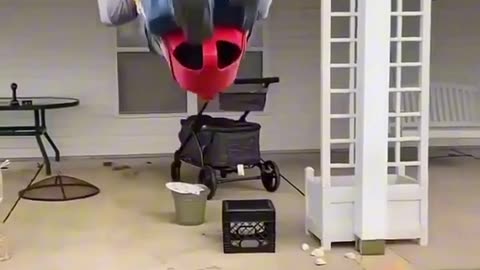 Fun World - 00009 🤣🤣🤣