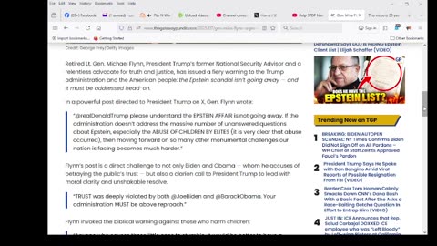 Gen. Mike Flynn Urges Trump to Confront Epstein Cover-Up