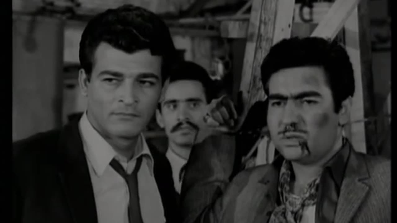 Aşkınla Divaneyim