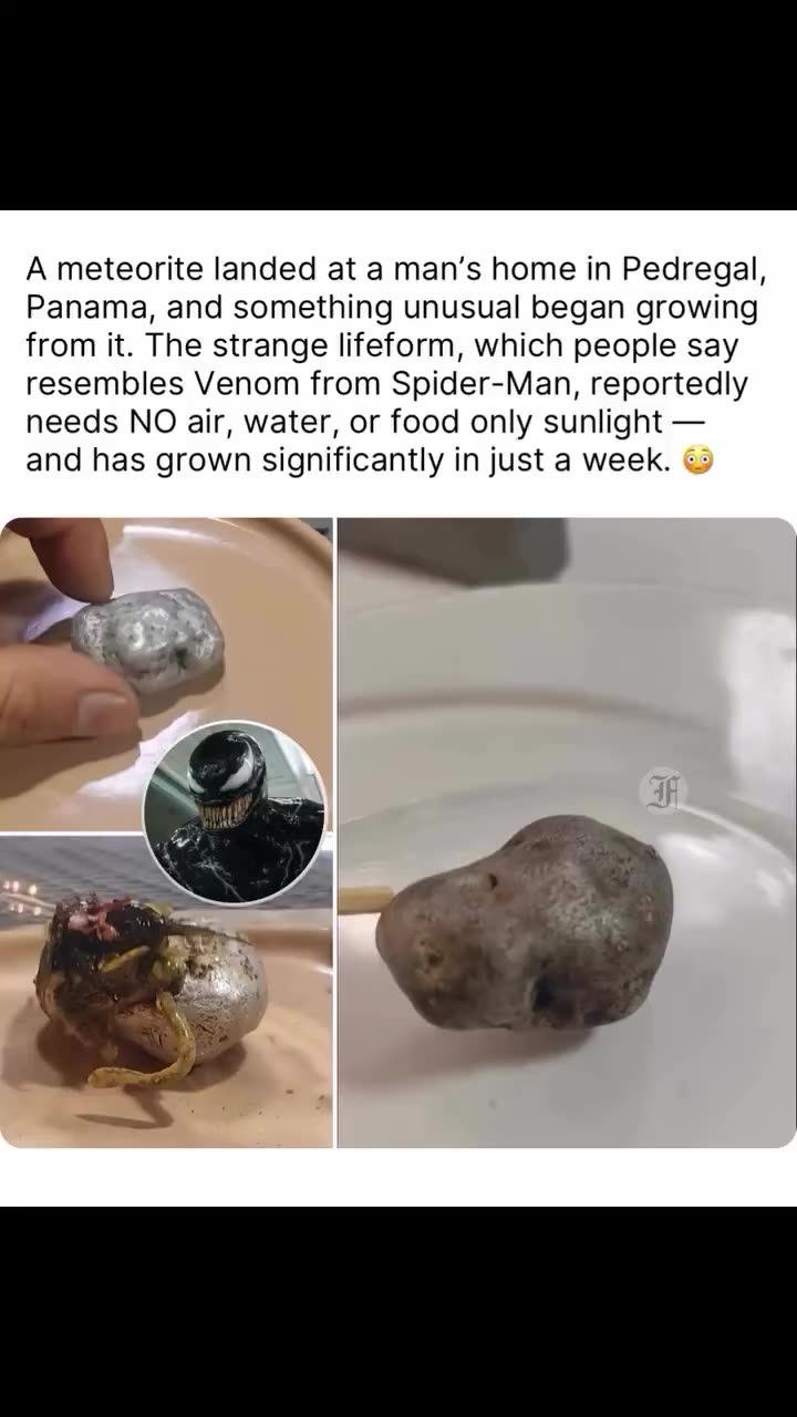 Meteorite Update from Panama