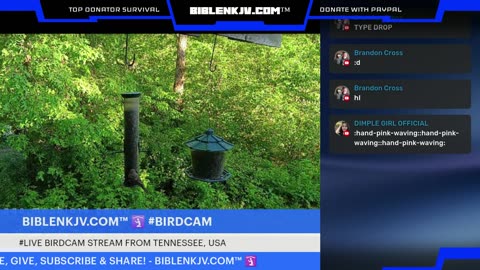 BIBLENKJV.COM™ 🛐 06/23/2025 #LIVE #WEATHER #KNOXVILLE