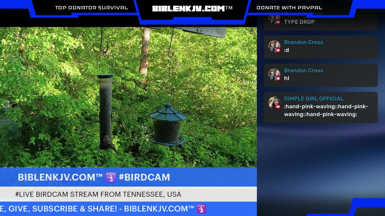 BIBLENKJV.COM™ 🛐 06/23/2025 #LIVE #WEATHER #KNOXVILLE
