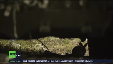 RT DE Live-TV