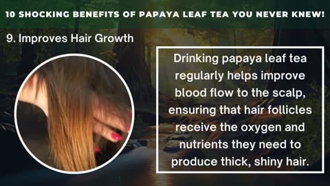 10 Shocking Benefits of Papaya Leaf Tea You Never Knew