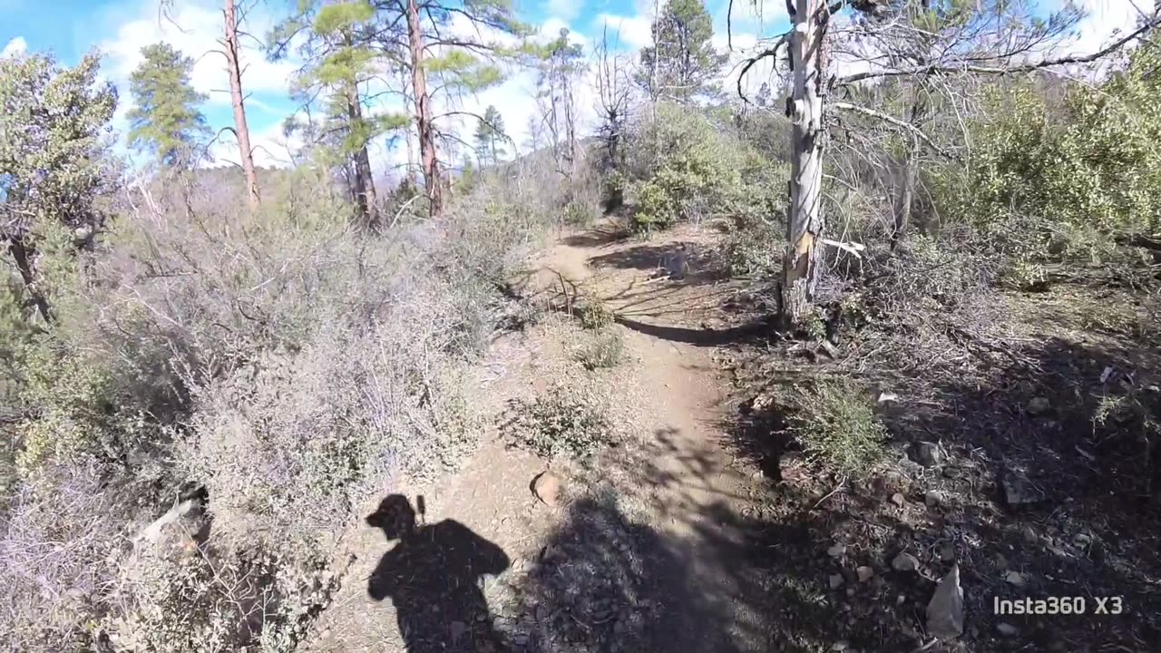 Boldfoot Socks @ The Whiskey Basin Trail Race