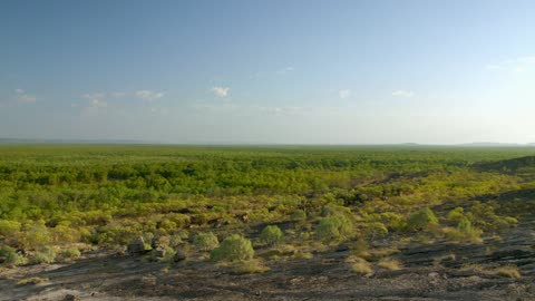 Secrets of Wild Australia: Series 1_The Crocodile