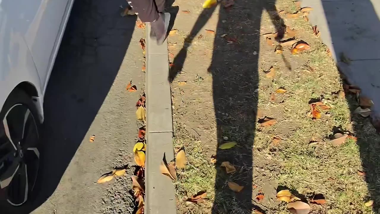 hump the car