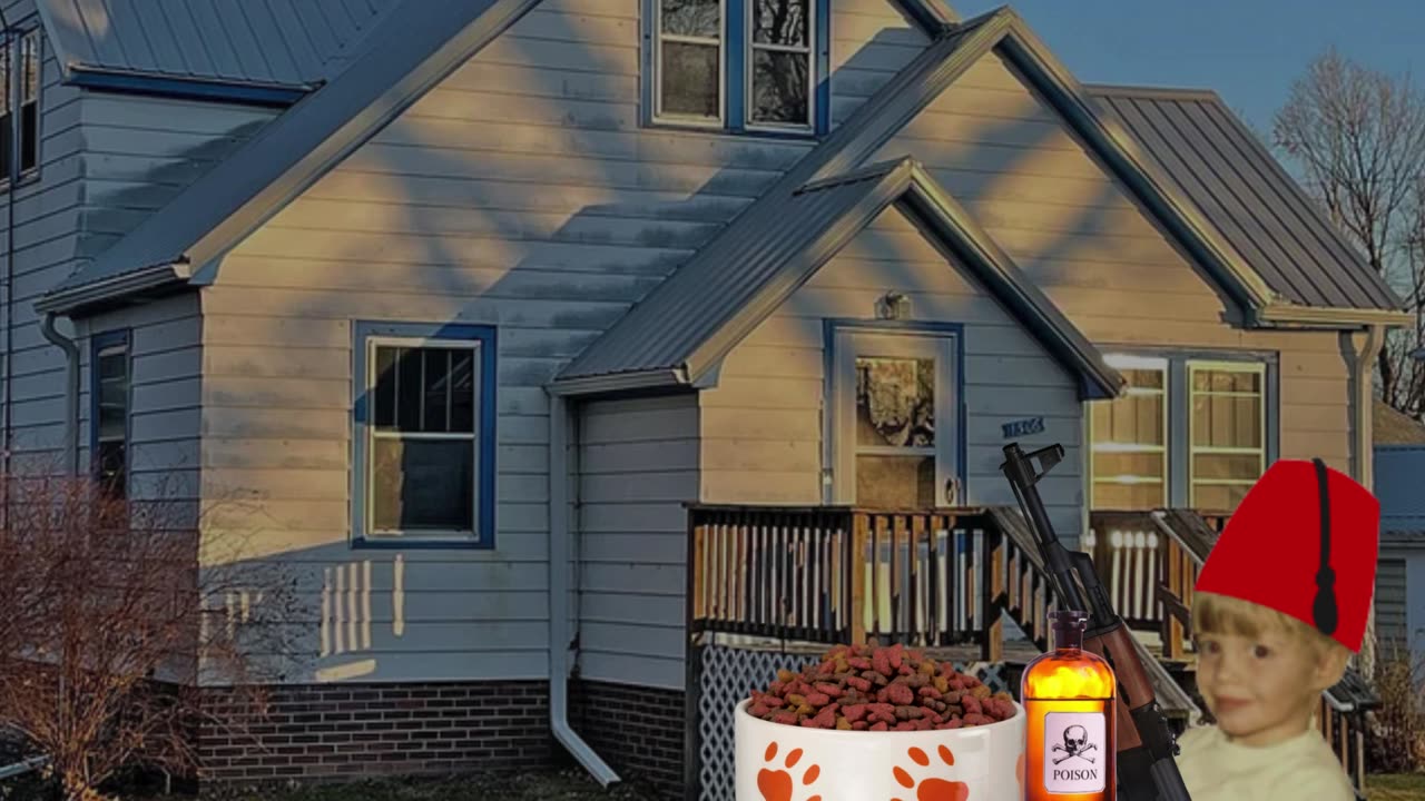 Your Dogs