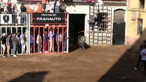 TOROS TARDE 17 mayo FIESTAS SANTA QUITERIA 2025
