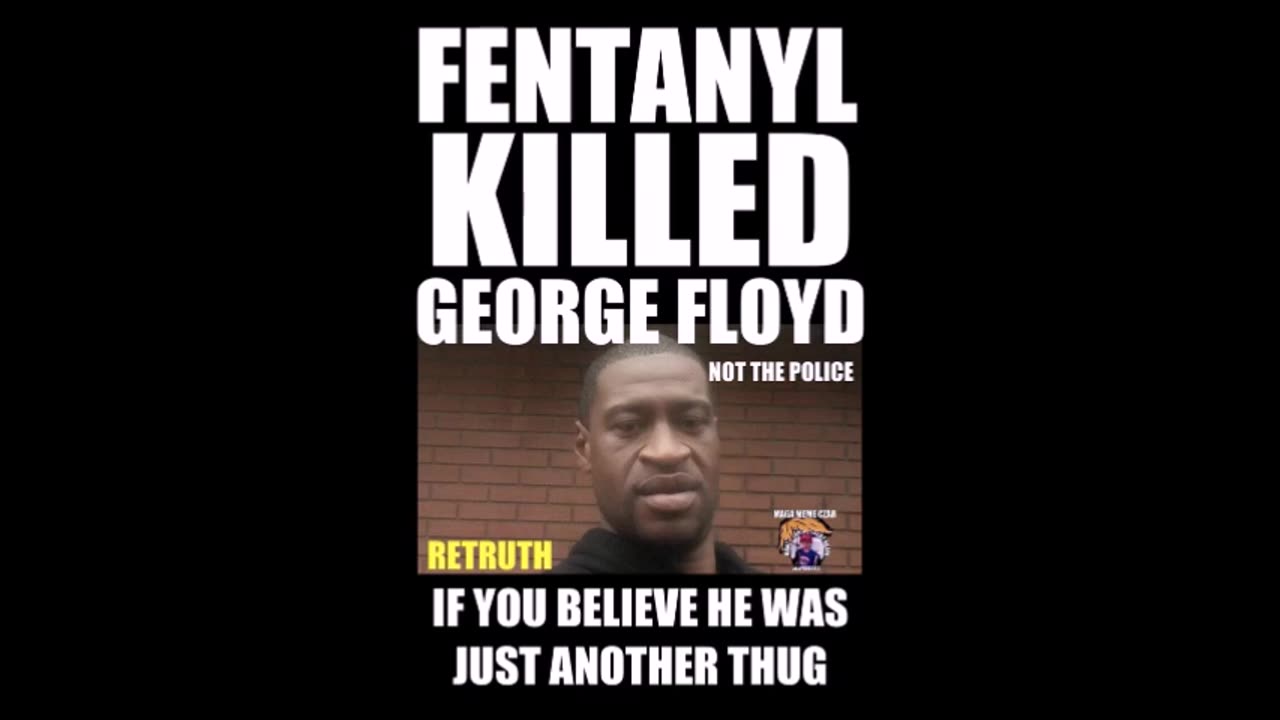 52625 Terry Reports - Political TRIGGER Warning!