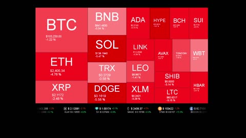 Live Coin Price Watch!
