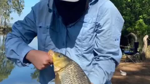 Catching carp in private lagoons Hip camp secrets
