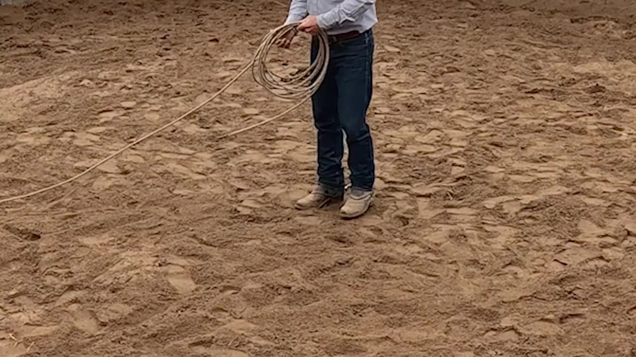 The more you rope 'em, the safer they're going to be.